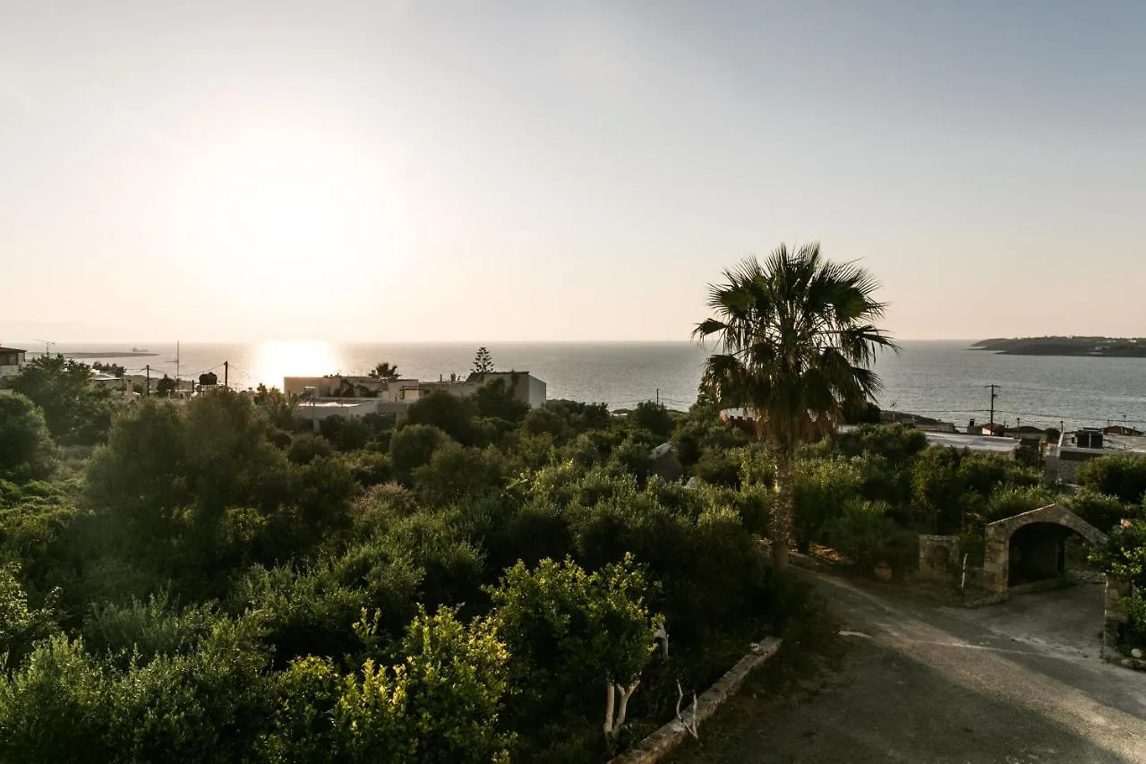 Hotel Creta Vitalis Kalathas